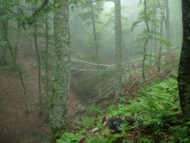 Походы по Крыму всегда интересны и хороши.
