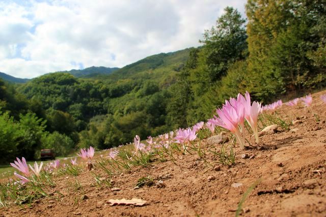 Походы по Крыму с Олегом и ещё где.